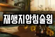 재생지압침술원
