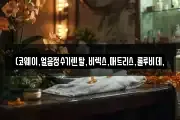 경남 밀양시 청도면 마사지, 지압등 업체정보