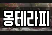 몽테라피