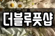 더블루풋샵