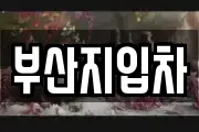 부산지입차
