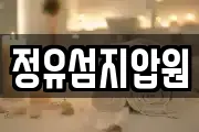 정유섬지압원