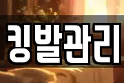킹발관리