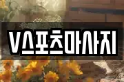 V스포츠마사지