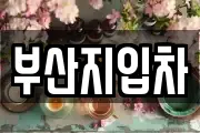 부산지입차
