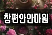 참편안안마원
