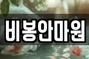 비봉안마원