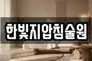 한빛지압침술원