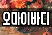 오마이바디