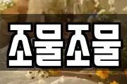 조물조물
