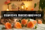 탐정들의영업비밀,경찰출신흥신소불륜증거수집전문