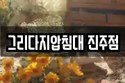 그리다지압침대 진주점