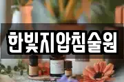 한빛지압침술원