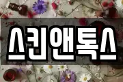 스킨앤톡스