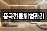 중국전통체형관리