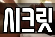 시크릿