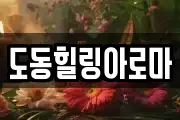 도동힐링아로마