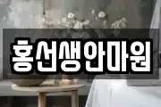 홍선생안마원