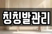 칭칭발관리