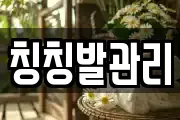 칭칭발관리