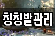 칭칭발관리