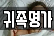 귀족명가