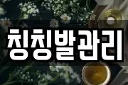 칭칭발관리