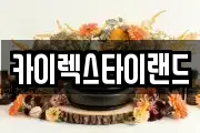 카이렉스타이랜드