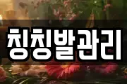 칭칭발관리