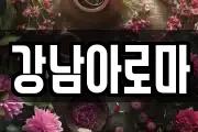 강남아로마