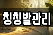 칭칭발관리