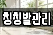 칭칭발관리