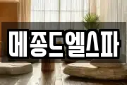 메종드엘스파