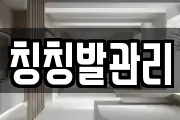 칭칭발관리