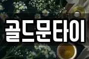 골드문타이