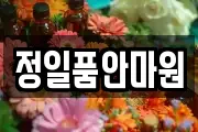 정일품안마원