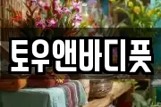 토우앤바디풋