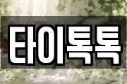 타이톡톡