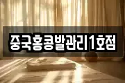 중국홍콩발관리1호점