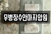 무병장수안마지압원