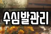 수심발관리