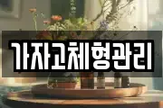 가자고체형관리