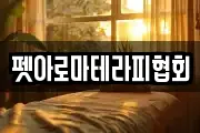 펫아로마테라피협회