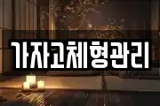 가자고체형관리