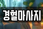 경남 창원시 성산구 삼정자동 마사지, 지압등 업체정보