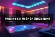 탐정들의영업비밀,경찰출신흥신소불륜증거수집전문