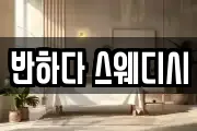 반하다 스웨디시