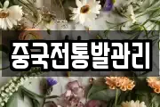 중국전통발관리