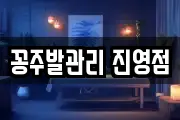 꽁주발관리 진영점