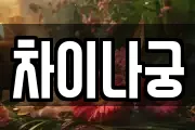 차이나궁